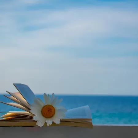 Agoulos 3*